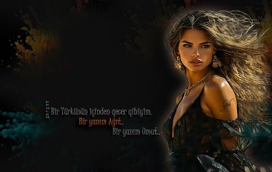 bir türkünün icinden........