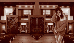 13.gif
