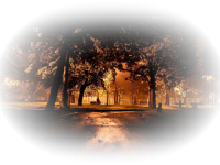 0_7bf93_70255b48_L.png