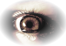 0_6540b_e9ecf51d_L.png