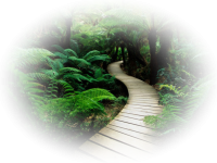 03a8768d7f1e20464d62c4951935cc00.png