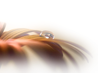 7dc7997endaad.png