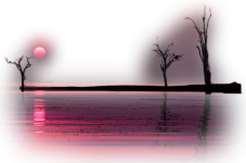 30_705468.png