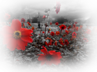 4671659_orig.png