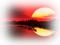 8586100_orig.png