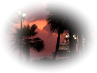 77357149_o.png