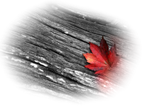 autumn-sonbahar_manzaz3ud5.png