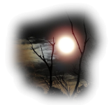 gece-manzara-png-4.png