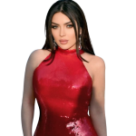 494430040_1061624099349490_1064838260304105703_n-removebg-preview.png