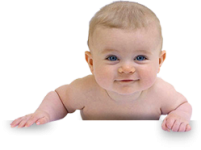 bebek.png