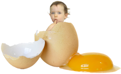52443e07.png