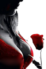 309159069_566706045337187_566155021255073506_n-removebg-preview.png