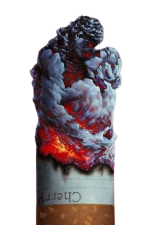 297794633_432899405546141_211161454404731673_n-removebg-preview.png