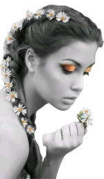 477461599_500234203120171_5342140245925748135_n-removebg-preview.png