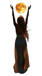 490475862_1149800080494124_8352153084828901545_n-removebg-preview.png