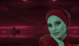 83.gif