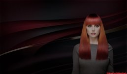 111.jpg