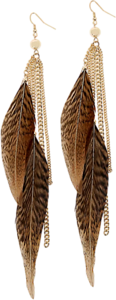0_8c7ee_775bdae5_M.png