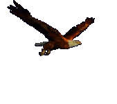 0_5d41f_519071e9_M.gif