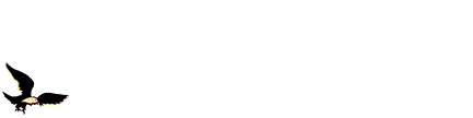 0_5d434_d1cf3332_L (1).gif