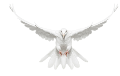 0_6a301_14612fe6_L.png