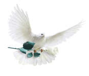 0_6bbf1_f6967fd9_L.png