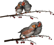 0_6d1e1_a145b271_L.png