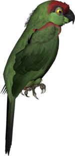 0_6d1e2_1e67d6f_L.png