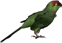 0_6d1e3_3cfdca41_L.png