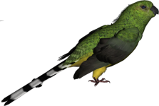 0_6d1e4_75ca65a8_L.png
