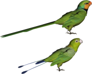 0_6d1e5_8aa22451_L.png