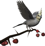 0_6d1e6_c1c187d7_L.png