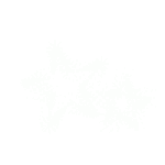 3.gif
