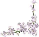 0_3edab_a55f53bb_L.png