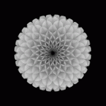 0_9d114_58a59c9f_L.gif