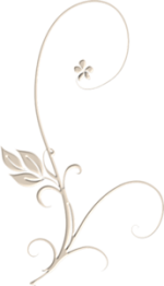 0_69aed_9c3f083_M.png