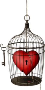0_116a7e_79da20e1_mk7kpp.png