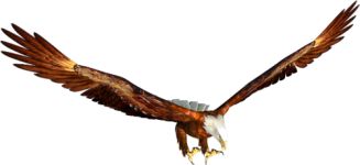 0_703a0_69da5f43_L.png