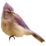 2b3bf41f.png