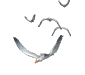 3objh8zz.gif