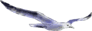 5xZFkdnTUUgba0pfupCqLiNH9bQ.gif