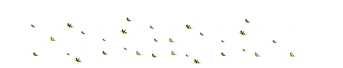 a85.gif