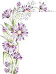 0_559a5_9838a8f6_S.png
