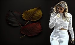 TY 18.jpg