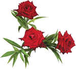 0_559cd_f71908_S.png