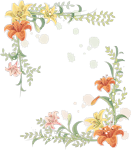 0_559d5_e379591b_S.png