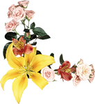 0_559d8_f3e854e4_S.png