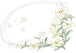 0_559d9_c6581441_S.png