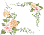 0_559da_fced434a_S.png