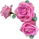 0_559e5_40cb93eb_S.png
